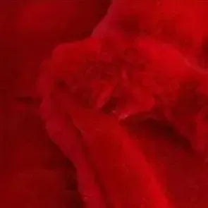 Couvre-lit Matelassé Éclat Rouge